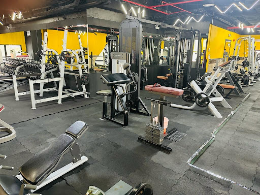 CRAZY FITNESS GYM - Navy Gate  Tourist Club Area | Abu Dhabi