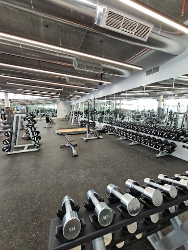 Well Fit Community Gym