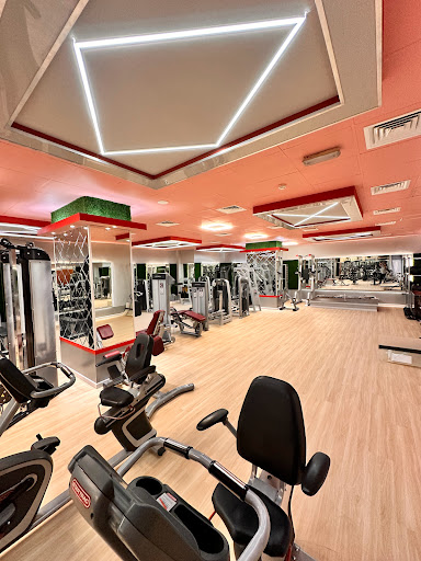 Wellness Fitness