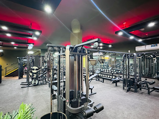 Zone Gym Ajman