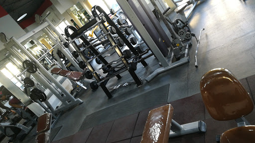 Strong Man Gym