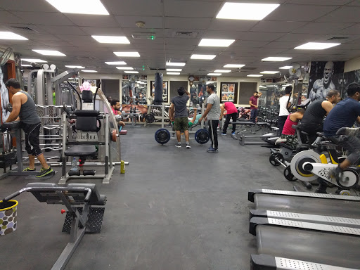 OMAR GYM