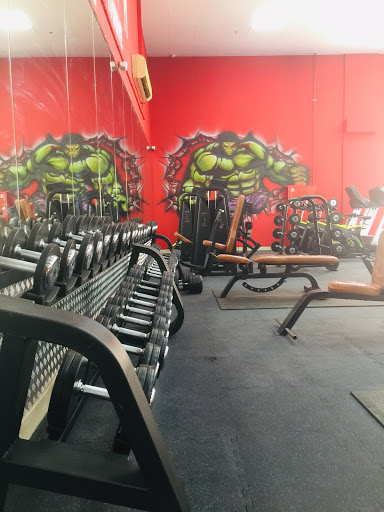 Evolution Gym