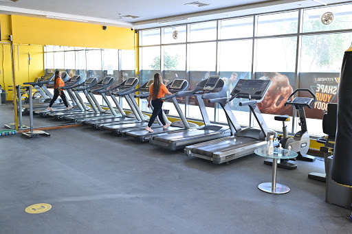 Fitness 1 body building