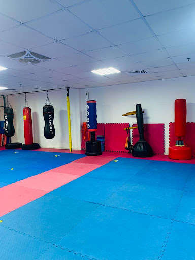 Okinawan Martial Arts Academy Ajman UAE