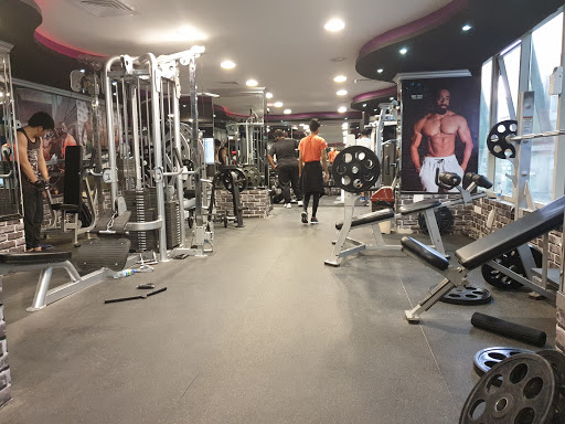 Body Force Fitness Centre