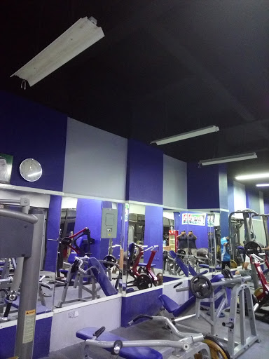 olympia gym