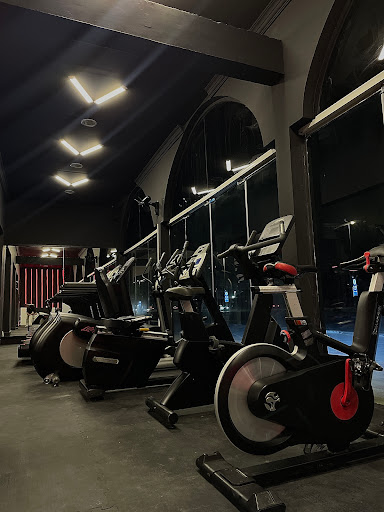 Alpha Fitness