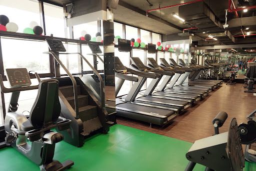Novel Olympic Gym and Fitness