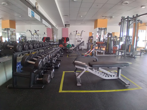 STAR GYM SATWA - Best gym