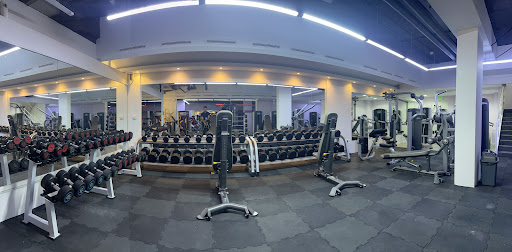 Power House Gym Karama