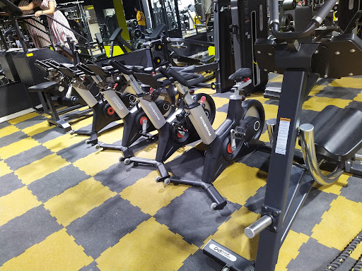 Melt Fitness Gym