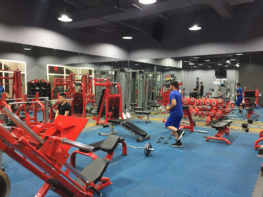 Body Arts Fitness Gym