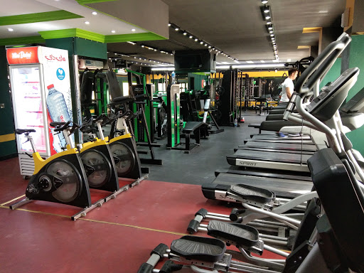OLYMPUS FITNESS branch-