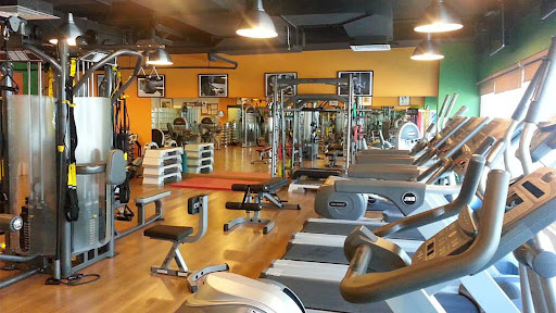 In Shape Ladies Fitness Club