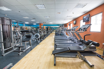Bodylines Fitness & Wellness Club