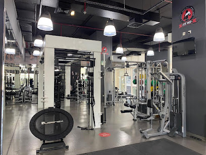 Fit Box Gym - JLT