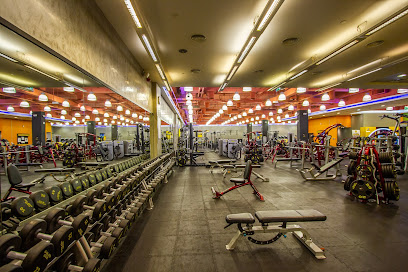 Gold's Gym Etihad Mall