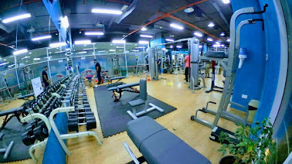Max Gym