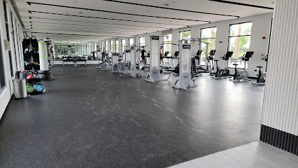Mira oasis gym