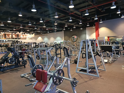Train Strength & Fitness