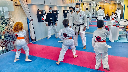 Emirates Karate  Khalifa City