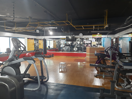 REAL GYM 365