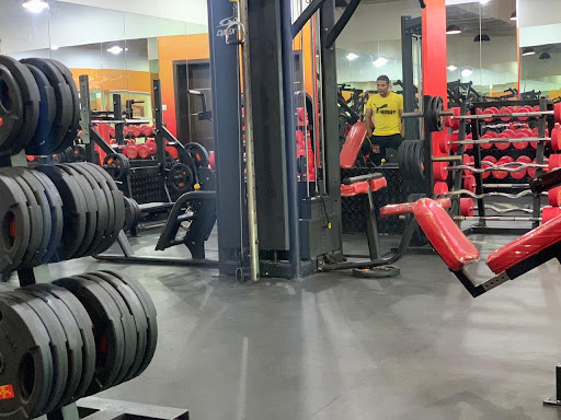 Next step gym