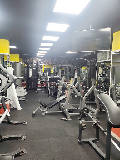 Muscle king gym