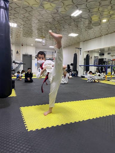 Al Moharb Martial Arts Club