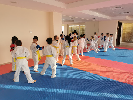 KiDojo Karate School