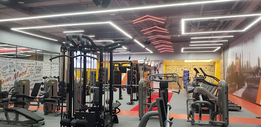 Snap Fitness | Ladies Only Gym & Fitness Center in Sharjah  UAE