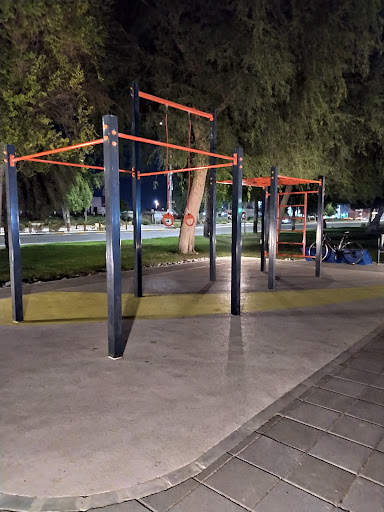 calisthenics park