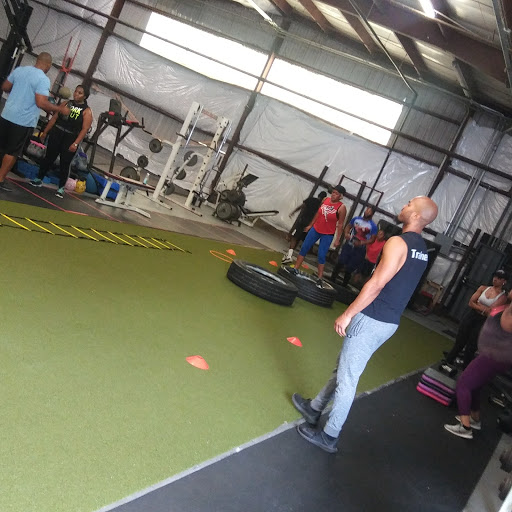 TrainingwithMoses
